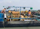 Kiến nghị bổ sung hình thức chế tài đối với ‘sa tặc’
