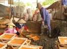 Tòa quận xử UBND TP Cần Thơ thua kiện