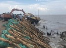 Cà Mau xin ngàn tỉ để dời dân
