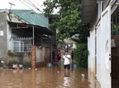 Tây Nguyên, Đồng Nai: Chín người chết, mất tích do lũ