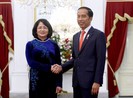 Phó Chủ tịch nước hội kiến Tổng thống Indonesia