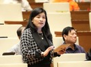 Quốc hội tranh luận chuyện bố trí người tài