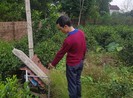 Lời kể của bố 2 anh em tử vong vì bệnh Whitmore