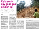 Cơ quan điều tra quy gỗ ra gạo là sai