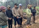 Bắt giam 9 người từ Khánh Hòa sang Đắk Lắk phá rừng