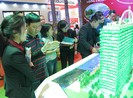 Condotel sắp có khung pháp lý