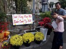 Mang mùa xuân làng quê vào bệnh viện
