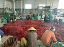 Trung Quốc siết tiểu ngạch, hàng Việt tuột dốc