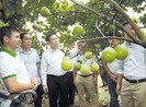 Thành quả 2019 tạo đà về đích cho năm 2020