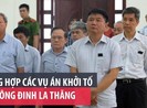 Ông Đinh La Thăng và các vụ án đình đám