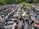 Xe vi phạm vô chủ 33 ngày sẽ bị tịch thu