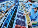 Chính phủ hỗ trợ người mất việc, ngừng việc vì COVID-19