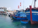 Cách đối phó Trung Quốc đâm tàu cá ở biển Đông