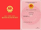 Có cần sổ hồng khi ký hợp đồng thuê nhà?