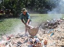 Được miễn thuế đất nông nghiệp: Đầu cơ rồi bỏ hoang
