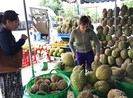 Sầu riêng, me… Thái Lan ồ ạt vào Việt Nam