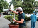 Sắp thí điểm đón khách quốc tế đến một số đảo