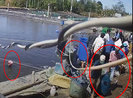 Camera ghi cảnh thương lái trộm hàng tấn tôm