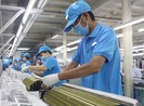 Giảm thuế cho doanh nghiệp là nuôi dưỡng nguồn thu