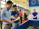 Cá tra miền Nam đổ bộ ra Bắc