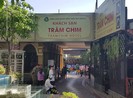Cưỡng chế 17 công trình vi phạm nghiêm trọng ở Bình Chánh