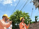 Lắp công tơ điện tử để tránh nhầm chỉ số điện