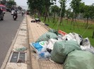 Rác đầy vỉa hè