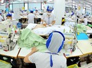 TP.HCM tạo việc làm cho người thất nghiệp do COVID-19