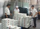 Nghịch lý: Phí vận chuyển nội địa đắt hơn đi Mỹ, Pháp