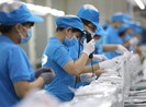 Đẩy mạnh thu hút vốn FDI, dự án có chất lượng vào Việt Nam