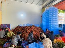 Xóa sổ dần buôn bán tiểu ngạch, tạm nhập tái xuất