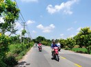 Con đường sạch mát, rợp hoa vàng ở Củ Chi