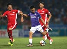 V-League còn nhiều phương án nên sẽ không hủy giải