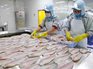 Bức xúc vì hàng xuất khẩu bị đánh thuế như hàng chợ