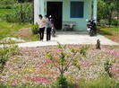 Nở rộ những đường hoa chống xả rác ở TP.HCM