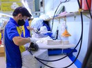 Doanh nghiệp TP.HCM tái cấu trúc, tìm kiếm cơ hội