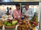 Được miễn thuế, hàng Việt dồn dập sang Pháp, Đức