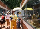 Nghỉ lễ 1 ngày, du lịch TP.HCM vẫn hút khách