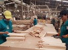 Ấn tượng với xuất khẩu giữa mùa dịch COVID-19