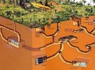 Xin ý kiến trình UNESCO để địa đạo Củ Chi là di sản thế giới