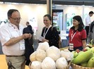 Hàng Việt giảm phụ thuộc thị trường Trung Quốc