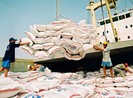 Pháp Luật TP.HCM cùng gỡ nút thắt phát triển