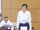 Chậm ban hành văn bản dưới luật: Đã thành bệnh