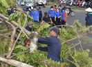 Miền Trung căng mình khắc phục hậu quả sau bão