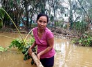 ‘Lo chạy lũ trước, thóc gạo tính sau’