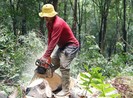 Đồng Nai giao 1.800 ha đất làm sân bay Long Thành