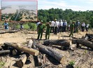Phá rừng và cái giá phải trả - Bài 1: Rừng ‘chảy máu’ khắp nơi