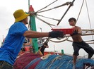 Đảm bảo an toàn cho người dân khi bão vào