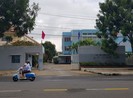 Du học sinh từ Vũ Hán về quê ăn tết âm tính với Corona