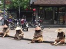 Truy tìm nhóm người giả ăn xin ở Hội An